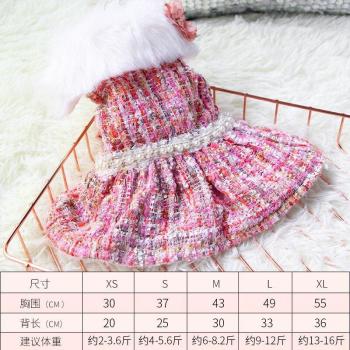 Vêtement élégant pour chat