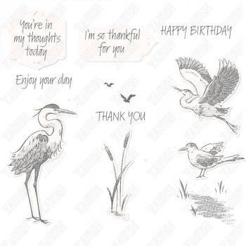Animal Metal Cutting Die and Clear Stamps for DIY Paper Embossing 2022