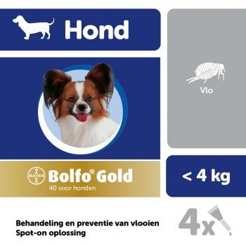 Bolfo Gold 40 Hond Vlooiendruppels