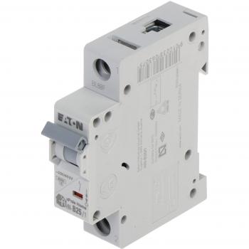 Switch Automatico 1P B 25A 6kA AC Home