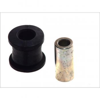 SASIC Control Arm Assembly 8003202