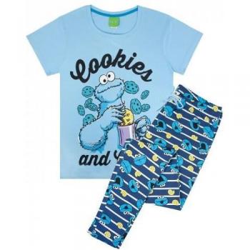 Sesame Street Ladies Cookie Monster Pajama Set L Blue