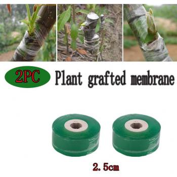Correa Flexible para Plantas y Flores AquaRattan