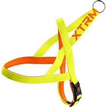 Neon Flash Limon 25mm 70–80 cm (Arnes)
