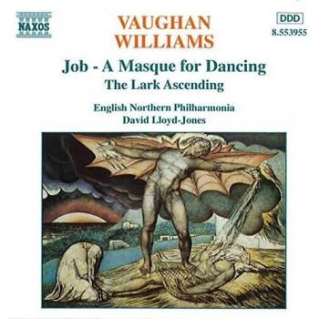 Masque de Danse