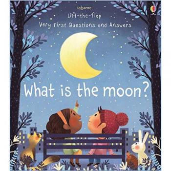 What is the Moon?
