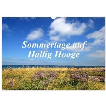 Sarnade: Sommertage auf Hallig Hooge (Wandkalender 2025 DIN A3 quer)