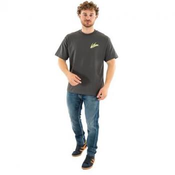 Vans Herren T-Shirt DETTORI in Grau