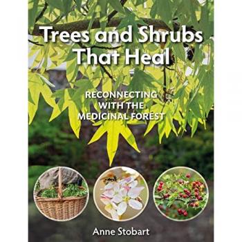 Trees and Shrubs that Heal : Reconnecting With The Medicinal Forest