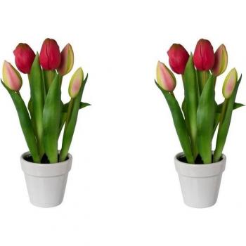 My Home Tulpen-Tulpe – kunstvoller Topf