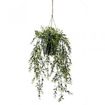 Emerald Hängender Buchsbaum Kunstpflanze 50 cm im Topf