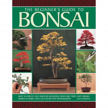 The beginner's guide to Bonsai: How to Create and Maintain Beaut