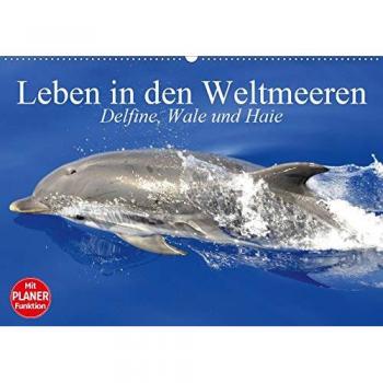 Leben in den Weltmeeren. Delfine, Wale und Haie