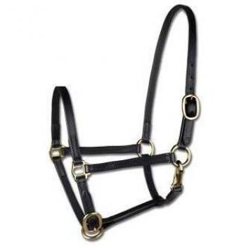Waldhausen STAR Leather Halter for Foals