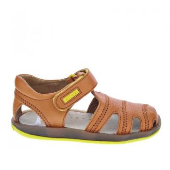 CAMPER Bicho