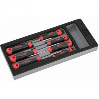 Modulo schiuma con 7 cacciaviti torx® SAM