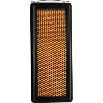 Filtratore d’Aria Ridex Plus 8A0615P