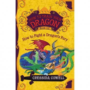 How to Train Your Dragon How to Fight a Dragons Fury