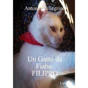 Un Gatto da Fiaba: FILIPPO