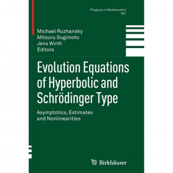 Evolution Equations of Hyperbolic and Schrödinger Type