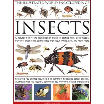 The Illustrated World Encyclopaedia of Insects: A Natural History and Identification Guide to Beetles, Flies, Bees Wasps, Springtails, Mayflies, ... ... Many More