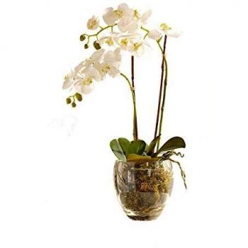 Chic Faux Double Phalaenopsis Orchid Bouquet
