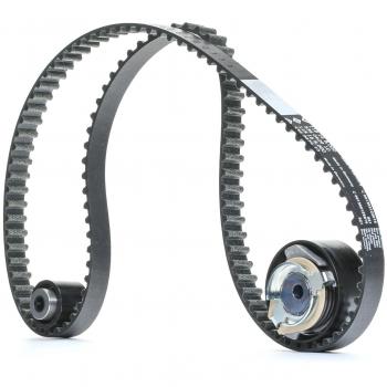INA Timing Belt Kit