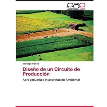 Pionce, Santiago: Diseño de un Circuito de Producción