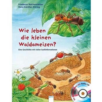 Wie leben die kleinen Waldameisen?