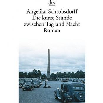 Die kurze Stunde zwischen Tag und Nacht: Roman