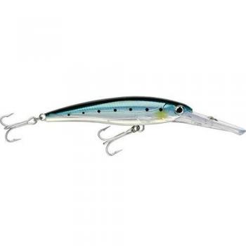 SARDINE by RAPALA XRMAG20BSRD