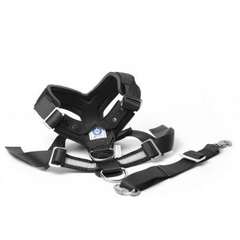 Imbracatura MIMAllsafe per Animali in Auto – Crash-Tested S