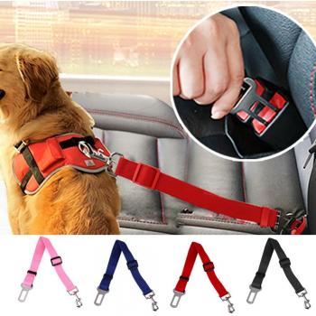 Clip de Seguridad para Perros, Montaje Rápido