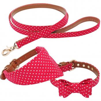 Correa y Collar de Cuero para Perros con Bandana