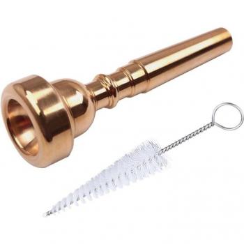 Accessoire de soin pour embouchure et valve de trompette