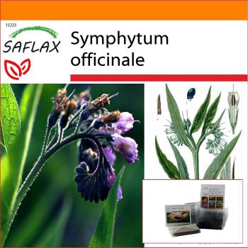 SAFLAX