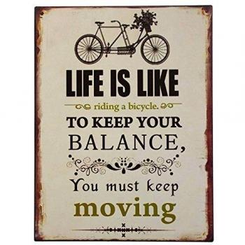 Zeitschrift‑Blechschild: Albert Einstein – Life Is Like a Bicycle (Nostalgie, 33 × 25 cm)