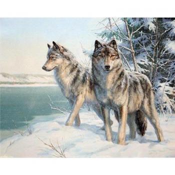 Kit di Diamond Painting 5D Lupo della Luna e Neve 20X30CM