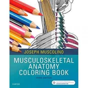 Musculoskeletal Anatomy Coloring Book by Muscolino & Joseph E. Instructor & Purchase College & State University of New York & Purchase & New York Owner &