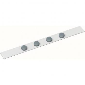 Planhalter Ferroleiste, 5 x 100 cm, weiß, magnetisch, inkl. 4 Magnete grau