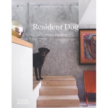 Resident Dog (Compact)
