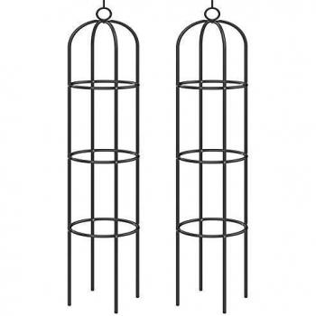 Colonne rosiers et plantes grimpantes 200x40cm