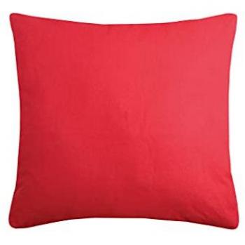 Coussin Déhoussable 40x40 cm