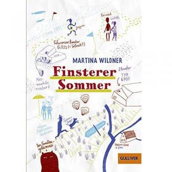 Finsterer Sommer: Roman