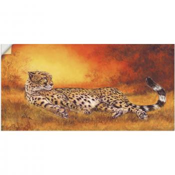 Geparden Leinwandbild – Wild und frei
