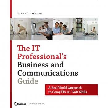 The It Professional's Business and Communications Guide