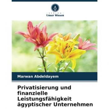 Privatisierung und finanzielle Leistungsfähigkeit ägyptischer Unternehmen: DE
