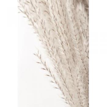 Art Décoratif Muraux Fleurs Beige 45×65 cm CEANOTHE