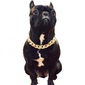 Bull & Teddy Chain Collar