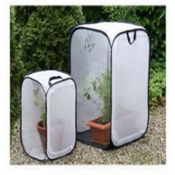 Butterfly Breeding Display Cage